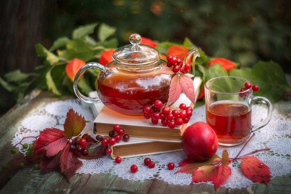 Лесное чаепитие