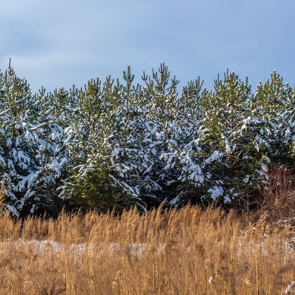 Photograph by Иван Полиненко