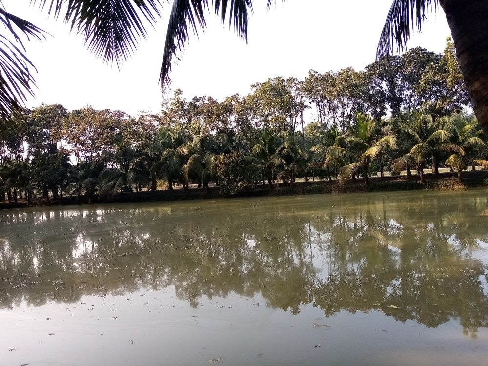 Photo #5643447