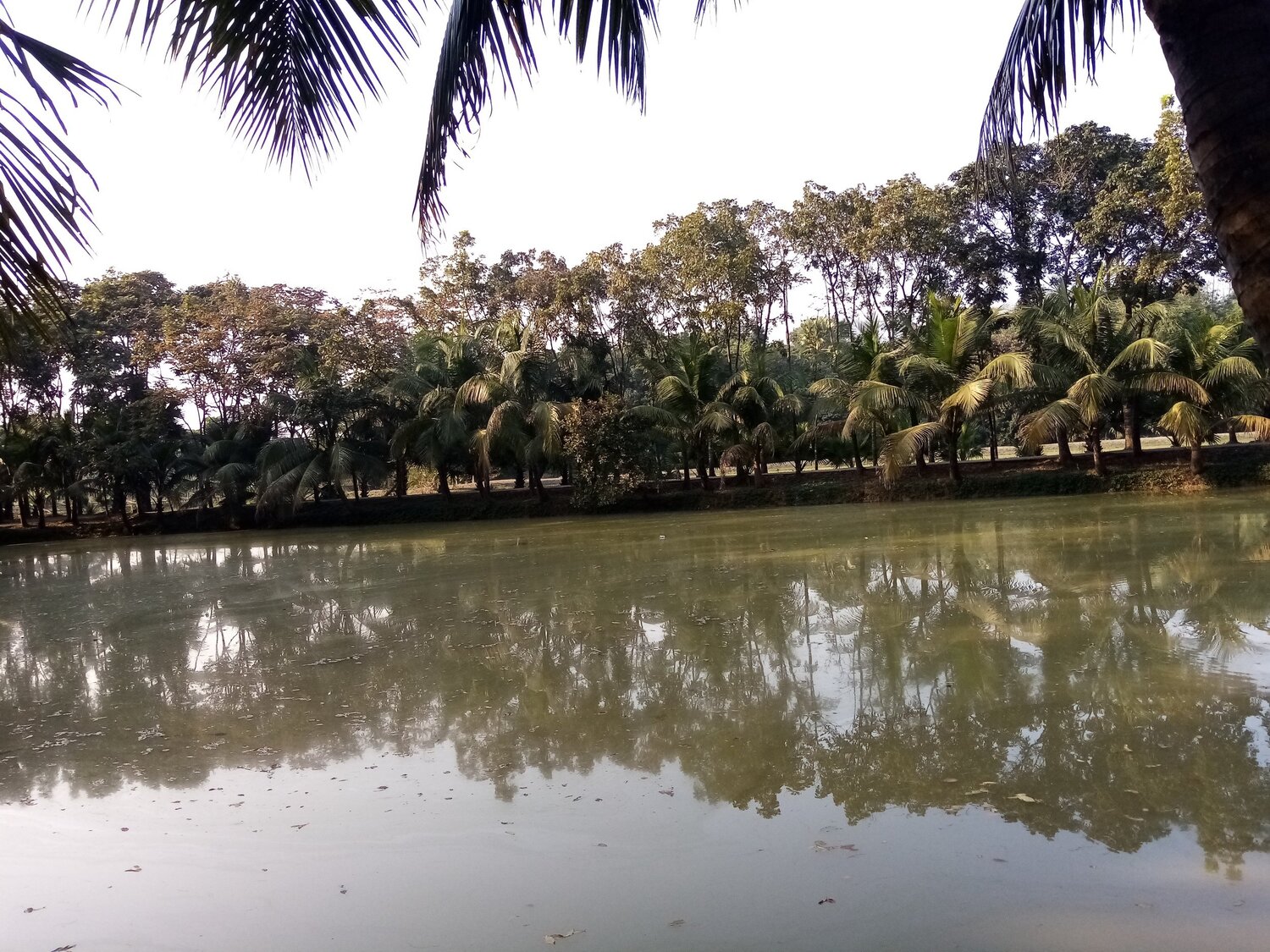 Photo #5643447