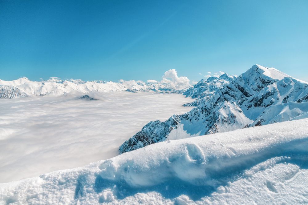 Photograph by EKATERINA WALTER