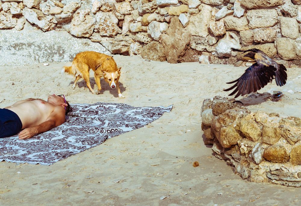 Photograph by Inna Shmelev