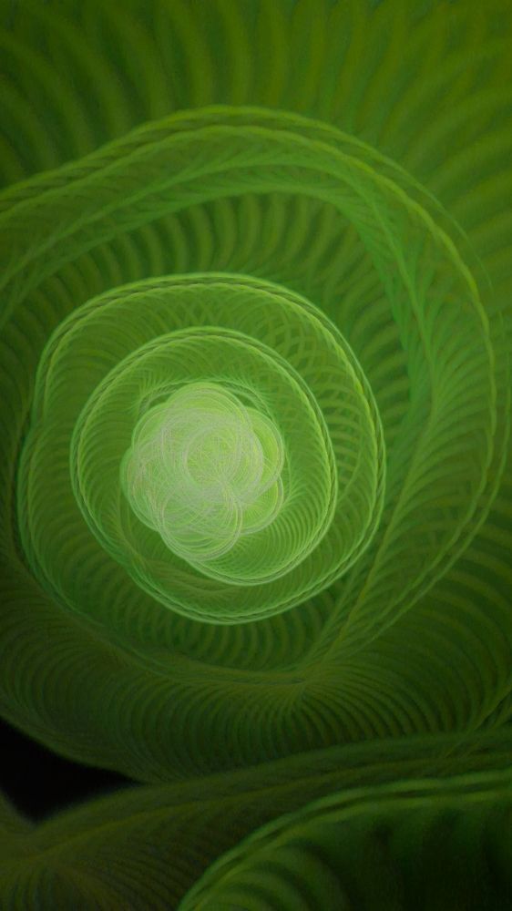 Photograph by Suraj Kumar