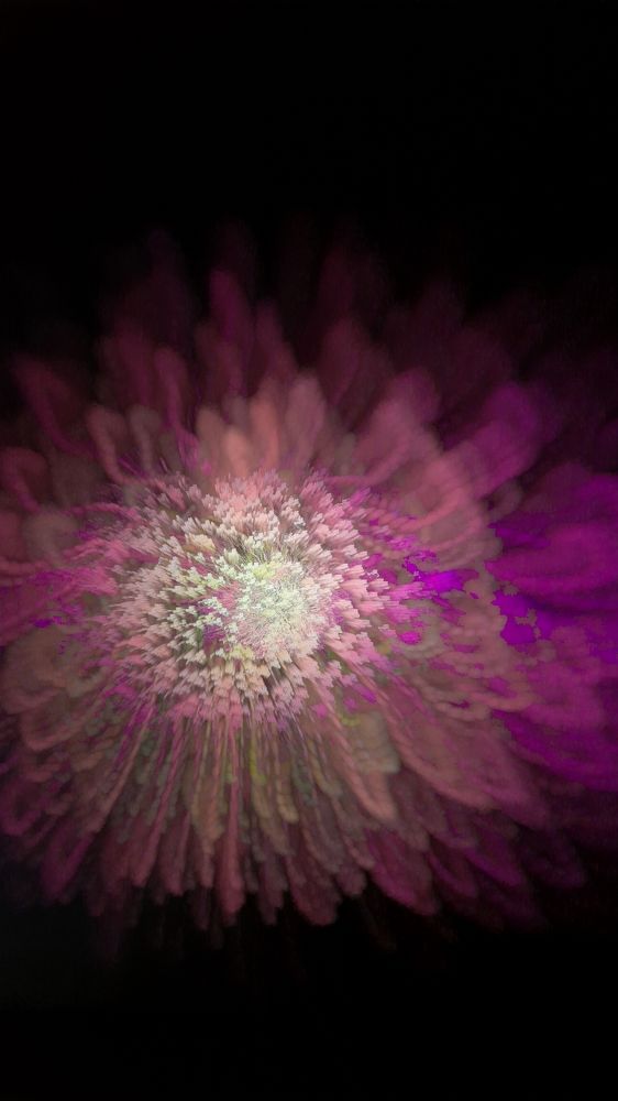 Photograph by Suraj Kumar