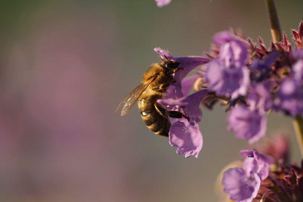 Photograph by Вероника Кочадыкова