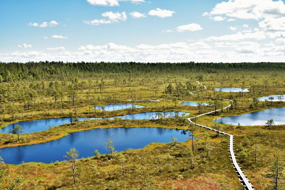 Photograph by Ija Reiman