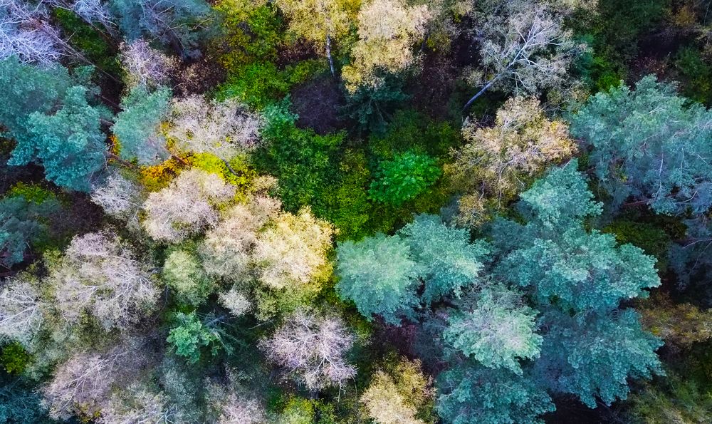 Photograph by Павел Минкевич