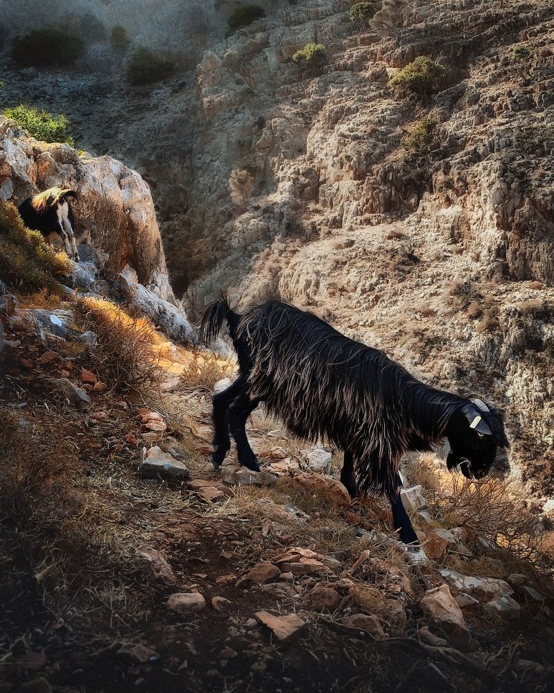 Photograph by Сергей Протасов