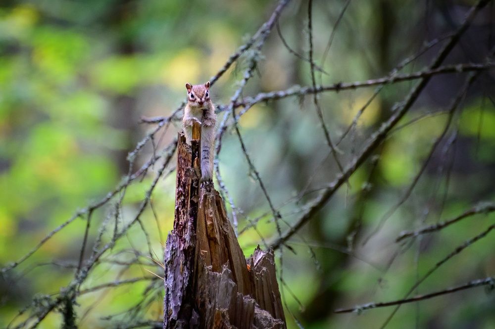 Photograph by Дамир Хисматов
