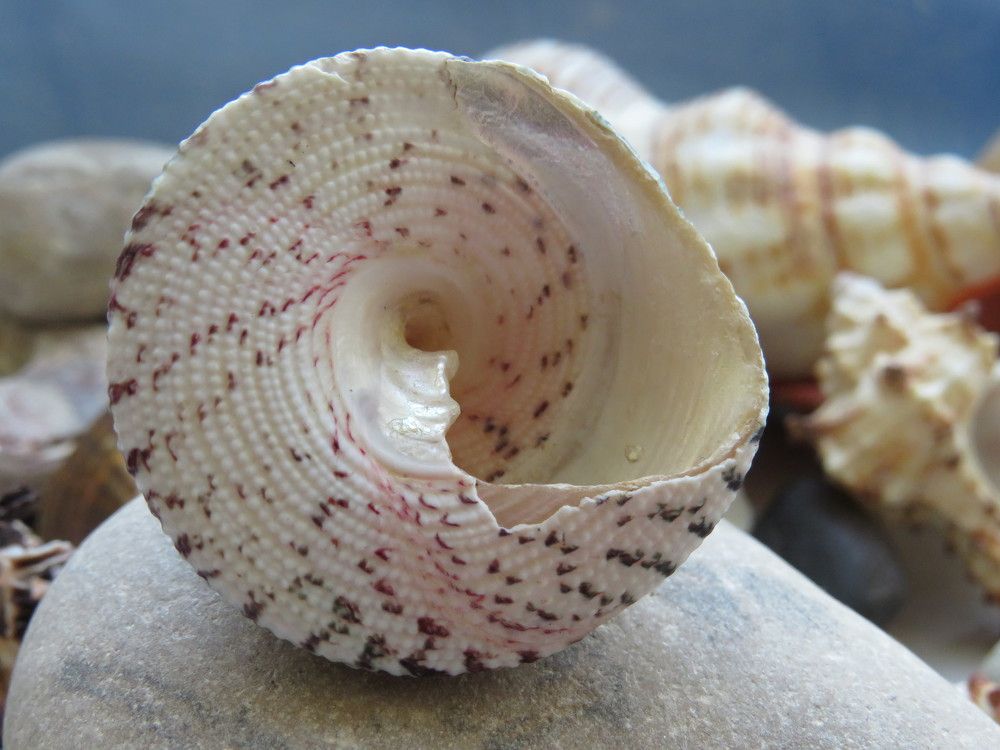 Photograph by Елена Лазутина