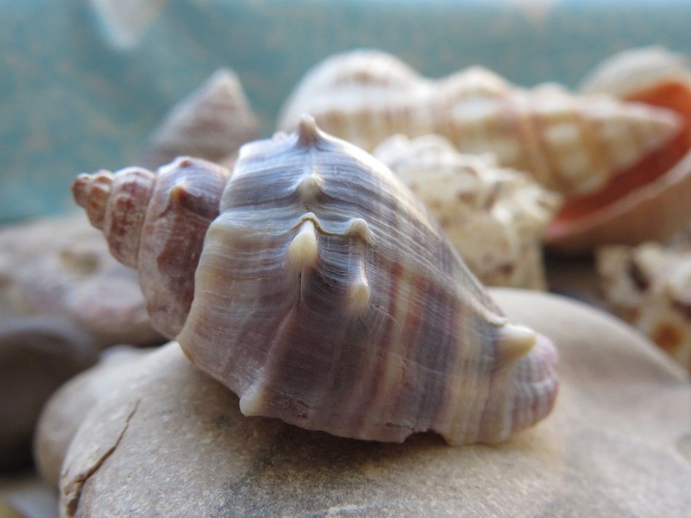 Photograph by Елена Лазутина