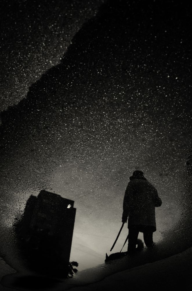 Photograph by Евгений Шаплов