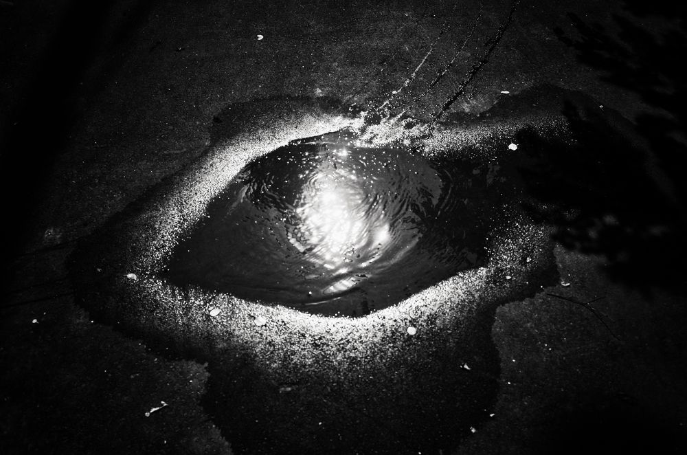 Photograph by Евгений Шаплов