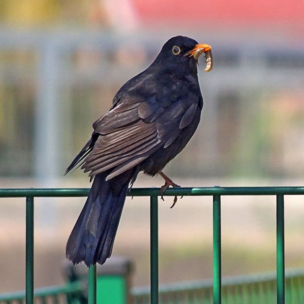 Photograph by Юрий Тихонов