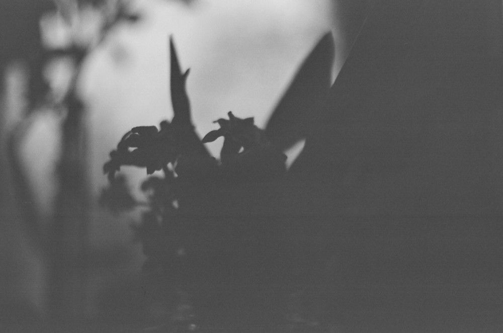 Photograph by Ольга Шевцова