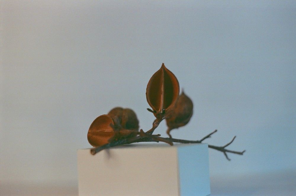 Photograph by Ольга Шевцова