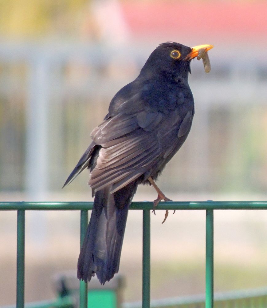 Photograph by Юрий Тихонов