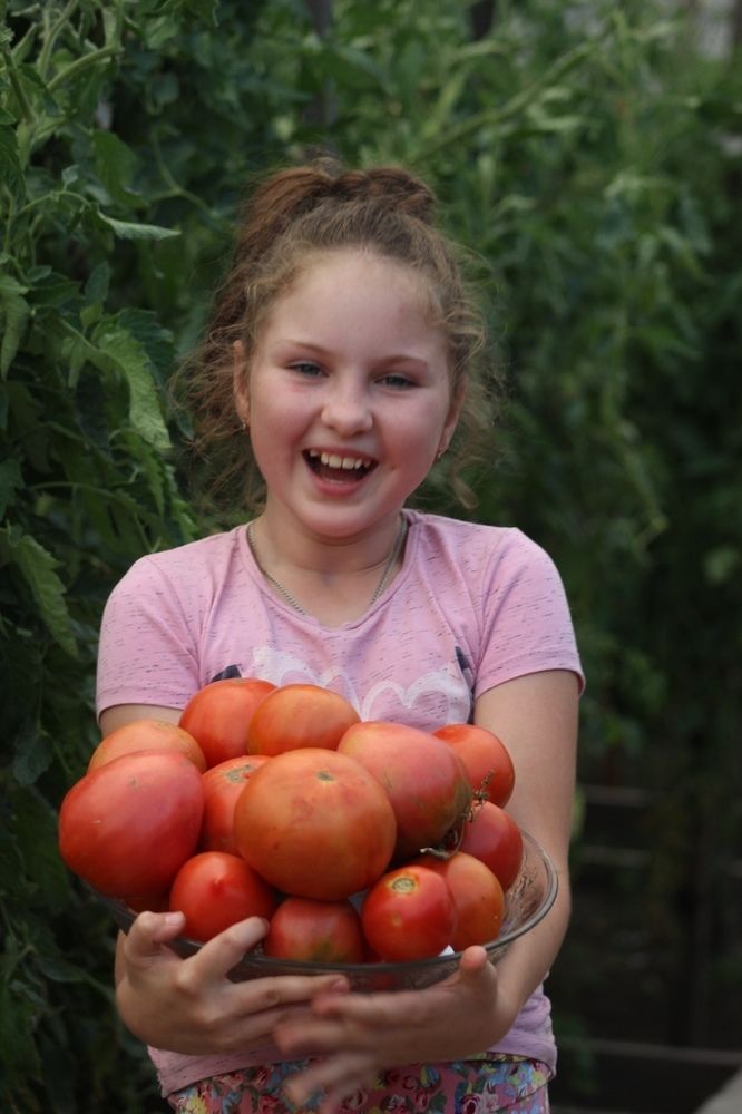 Цвет настроения - томатный!