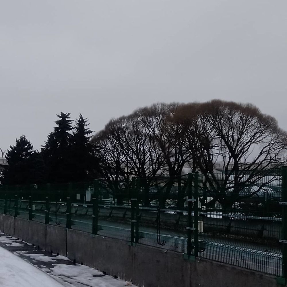 Photograph by Олег