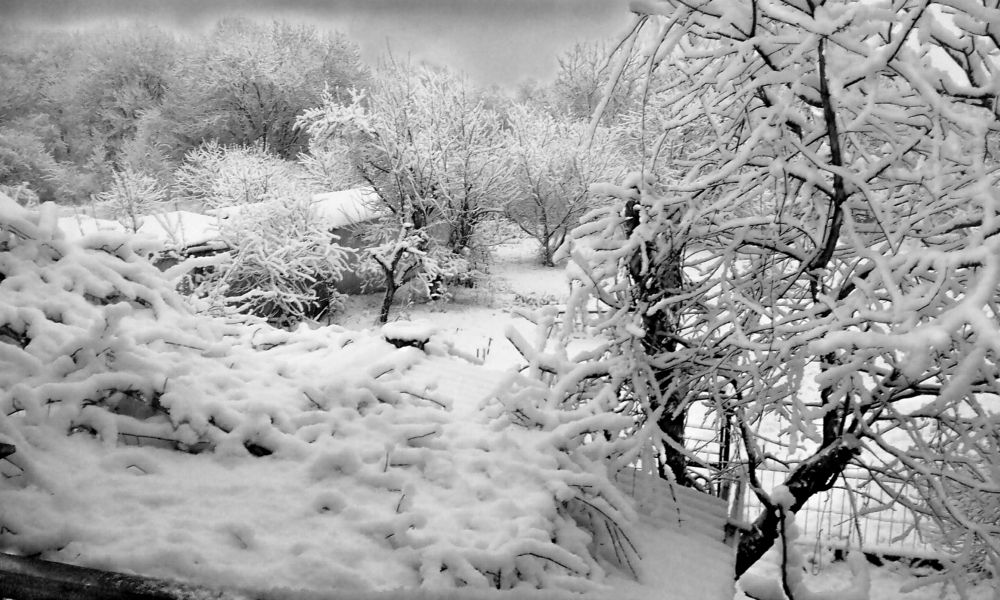 Photograph by Леонид Борисенко