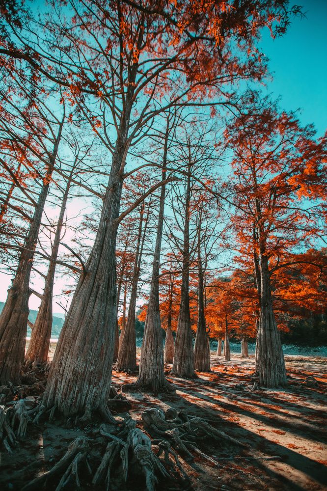 Photograph by Марина Верятинская