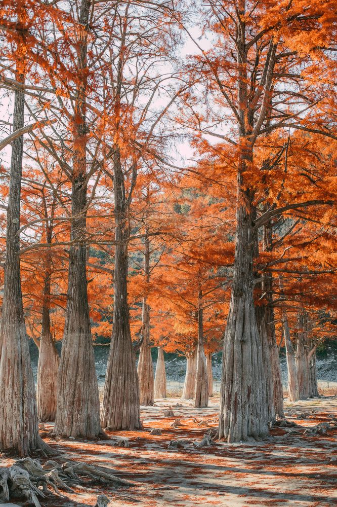 Photograph by Марина Верятинская