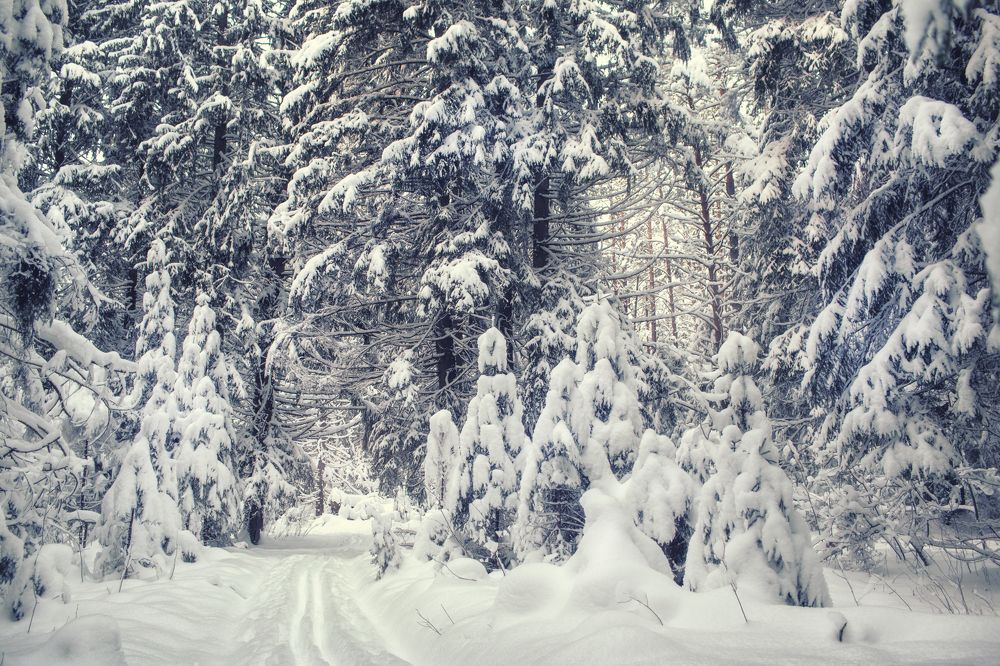 Photograph by Наталья Шкроб