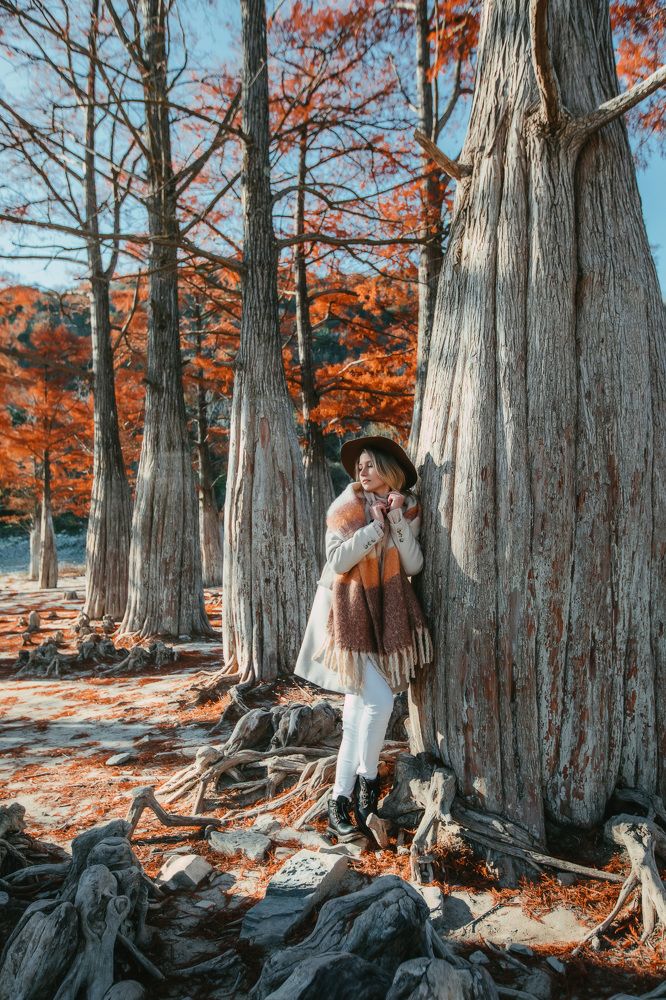 Photograph by Марина Верятинская