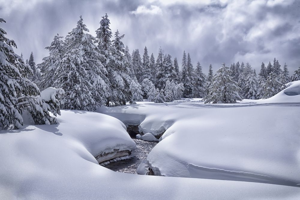 Winter creek in snowy forest.
