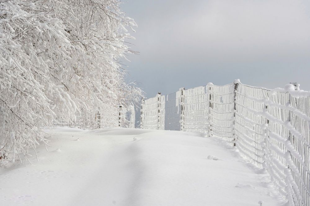 Untouched realms in Romania