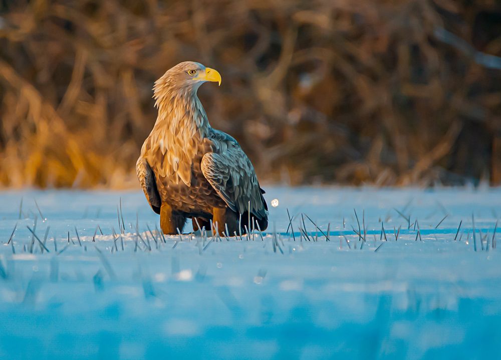 Photograph by Rafał Kowalik