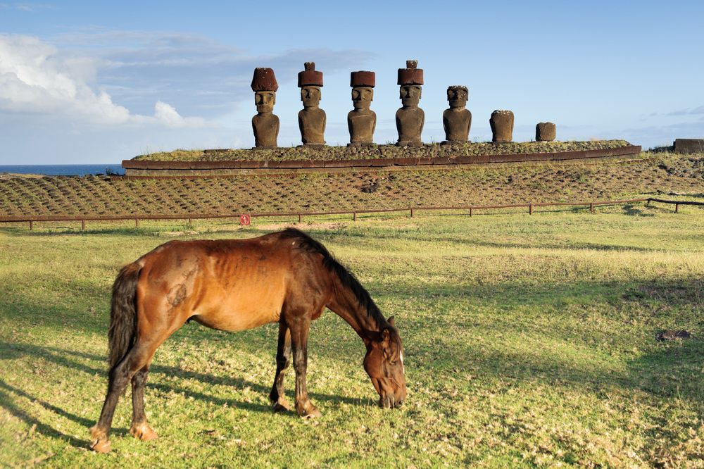 Photograph by Irina Grigoryeva