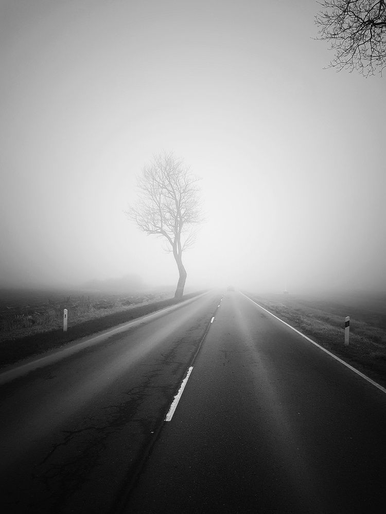 Photo #5644191