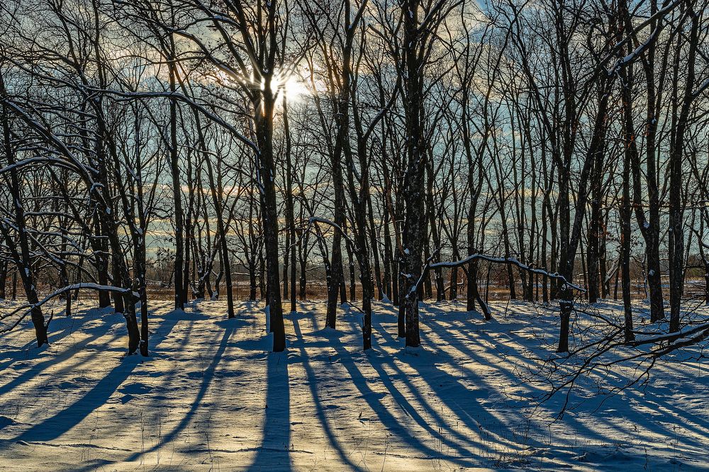 Фотография автора Oleg Utyuzh