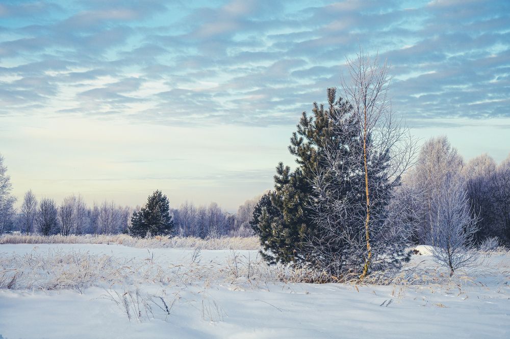 Утро. Февраль 2021