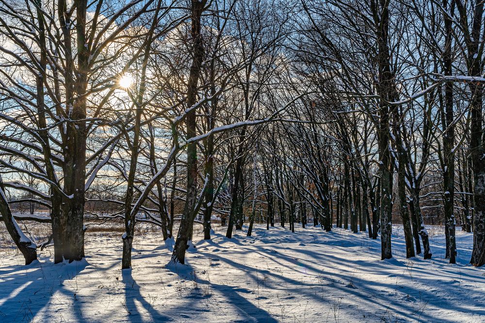 Фотография автора Oleg Utyuzh
