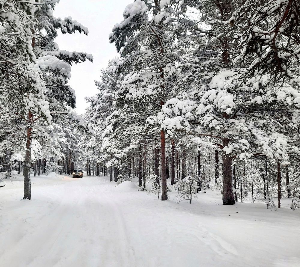 Photograph by Ольга Шаньгина