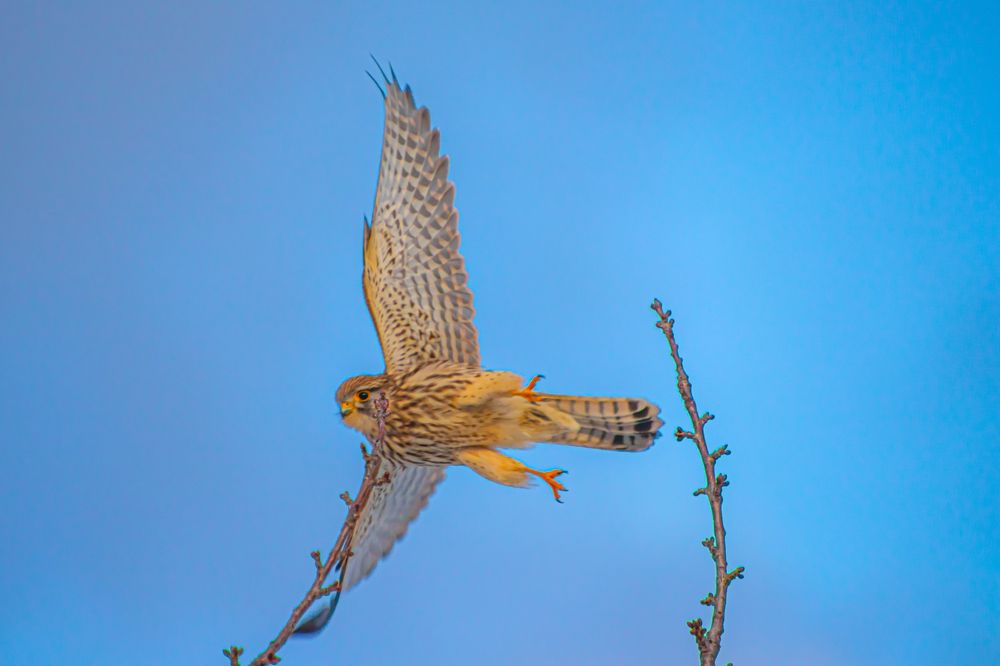 Photograph by Ellen Lichtenheldt