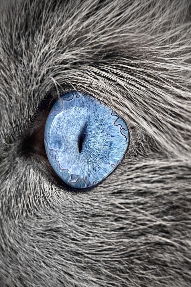 Photograph by Irina Galkina