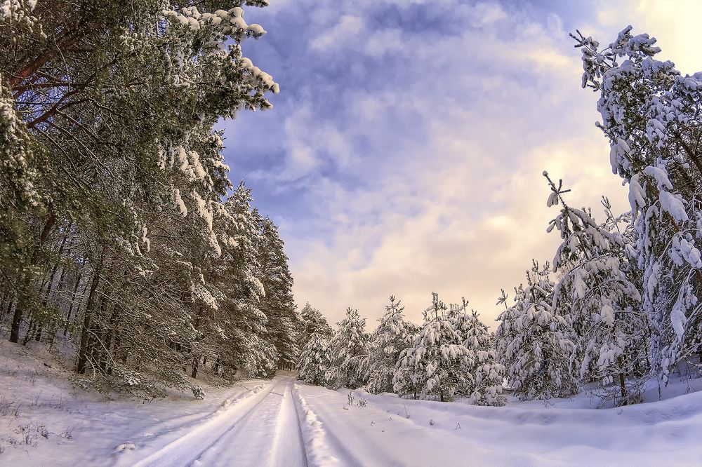 Photograph by Елена Зимацкая