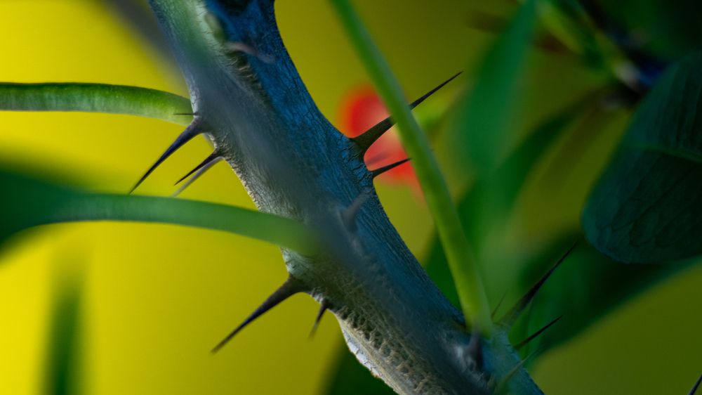 Photograph by Андрей Шишлов