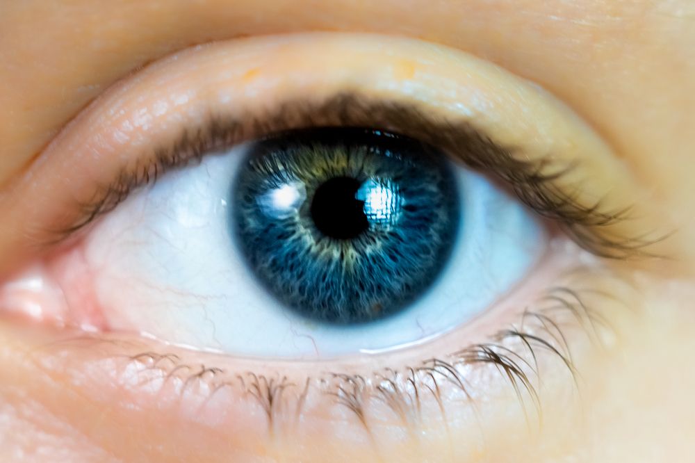 Photograph by Андрей Шишлов