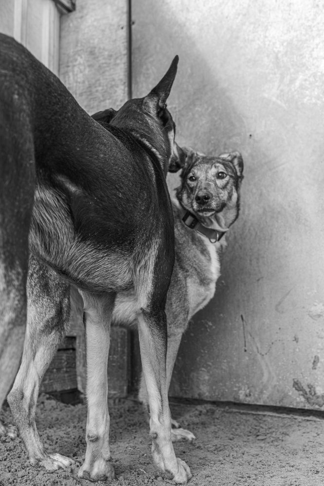 Photograph by Veronika Trubnikova