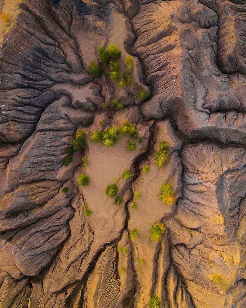 Photograph by Антон Шваин