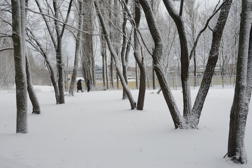 Photograph by Ольга Истомина