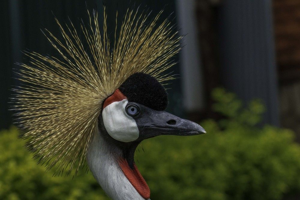 Photograph by Ricardo Ferreira