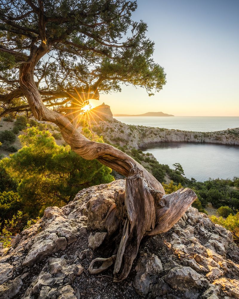 Photograph by Антон Шваин