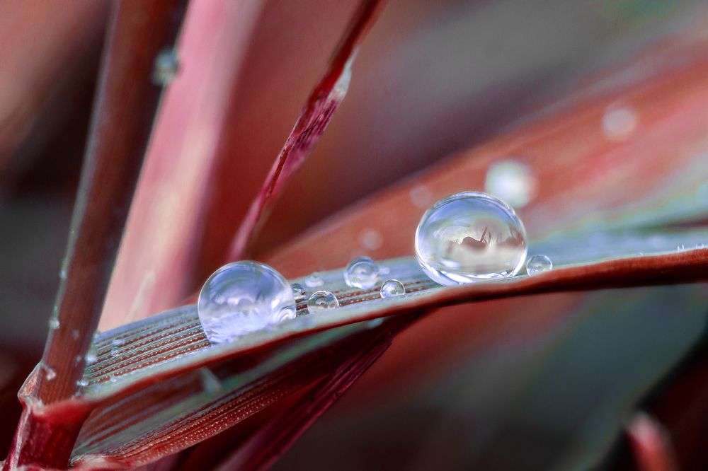 Photograph by Владислав Бичук