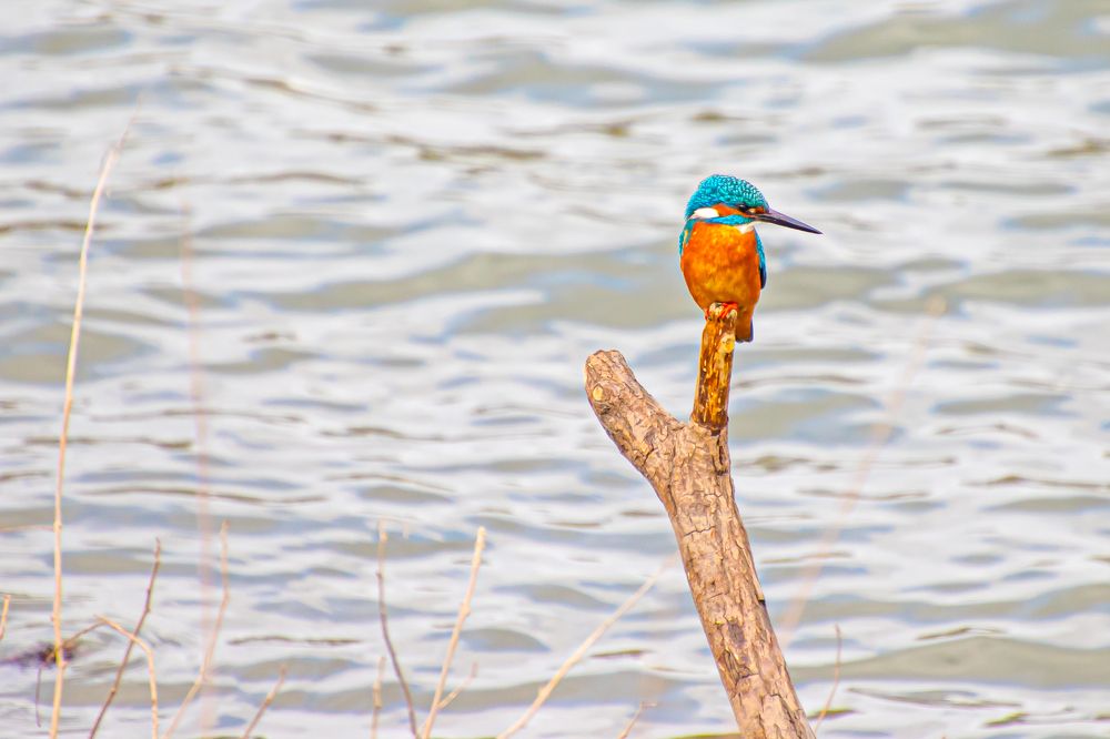 Photograph by Ellen Lichtenheldt