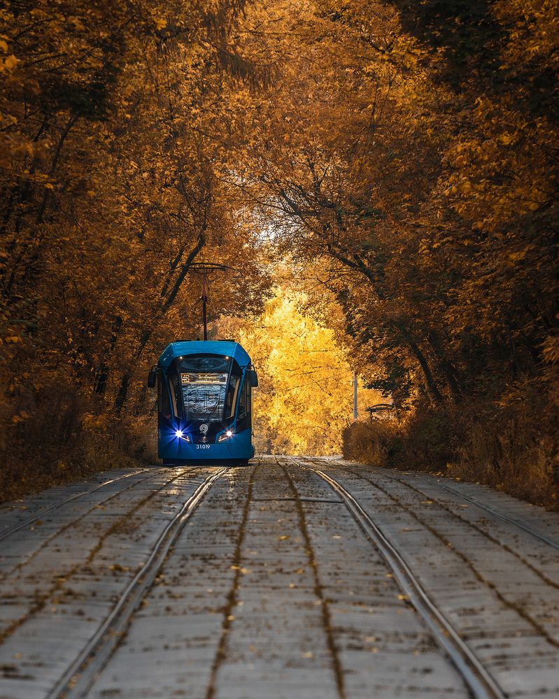 Photograph by Антон Шваин